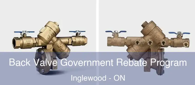  Back Valve Government Rebate Program Inglewood - ON