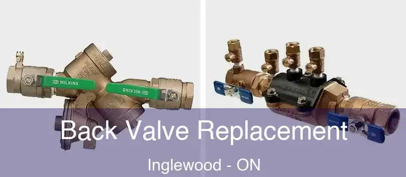  Back Valve Replacement Inglewood - ON