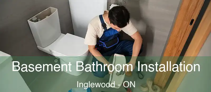  Basement Bathroom Installation Inglewood - ON