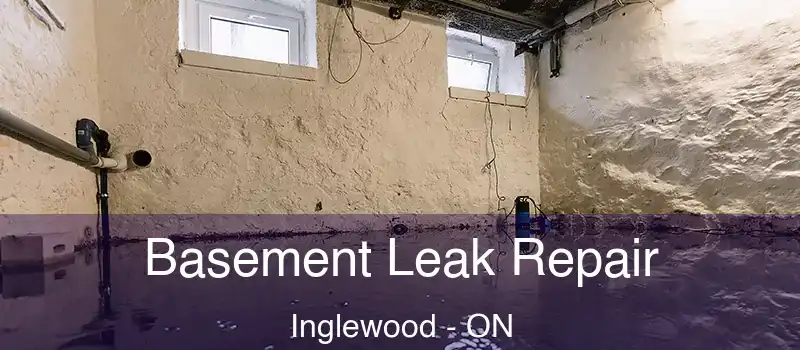  Basement Leak Repair Inglewood - ON