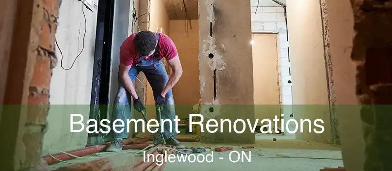 Basement Renovations Inglewood - ON
