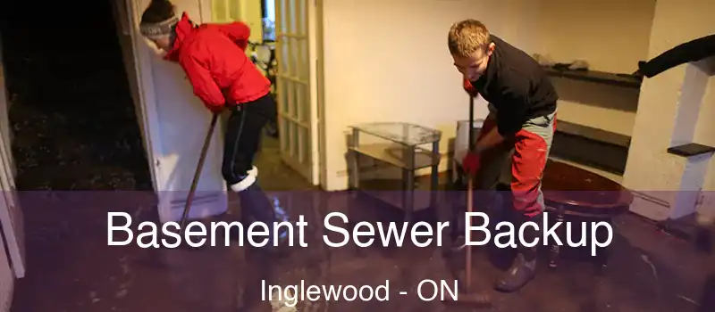  Basement Sewer Backup Inglewood - ON