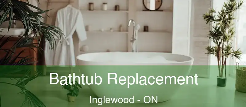  Bathtub Replacement Inglewood - ON