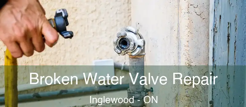  Broken Water Valve Repair Inglewood - ON