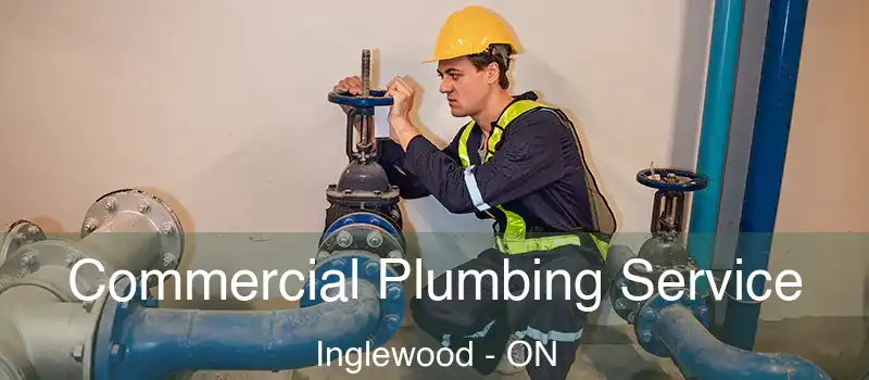  Commercial Plumbing Service Inglewood - ON