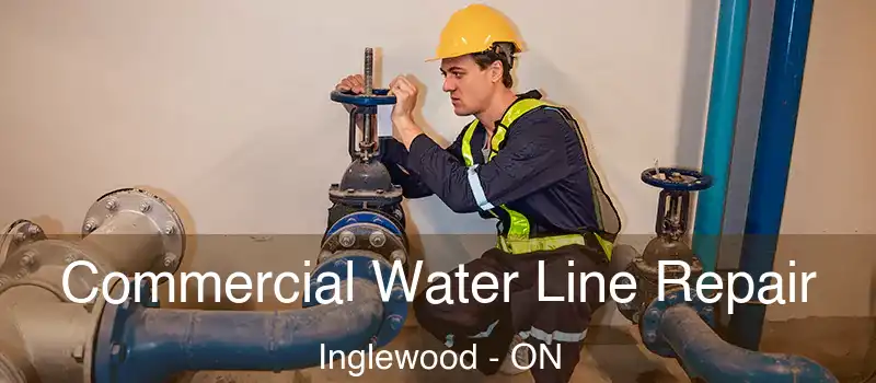  Commercial Water Line Repair Inglewood - ON