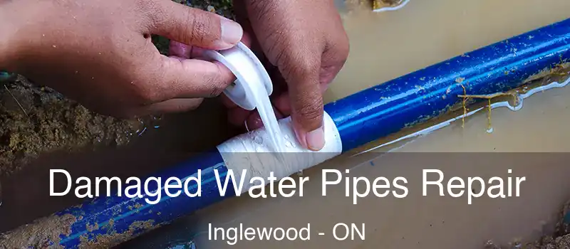  Damaged Water Pipes Repair Inglewood - ON