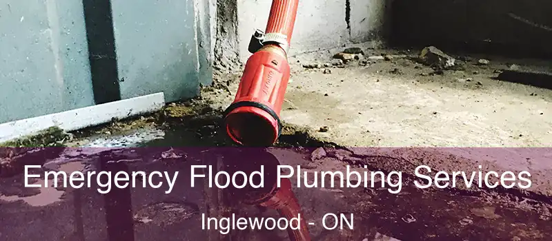  Emergency Flood Plumbing Services Inglewood - ON