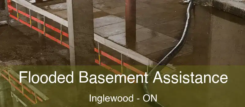 Flooded Basement Assistance Inglewood - ON
