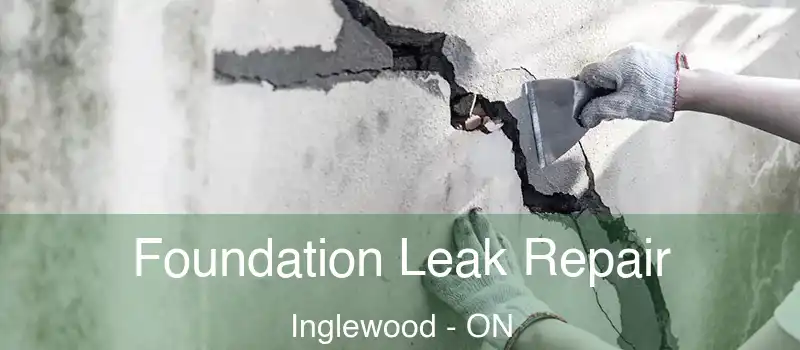  Foundation Leak Repair Inglewood - ON