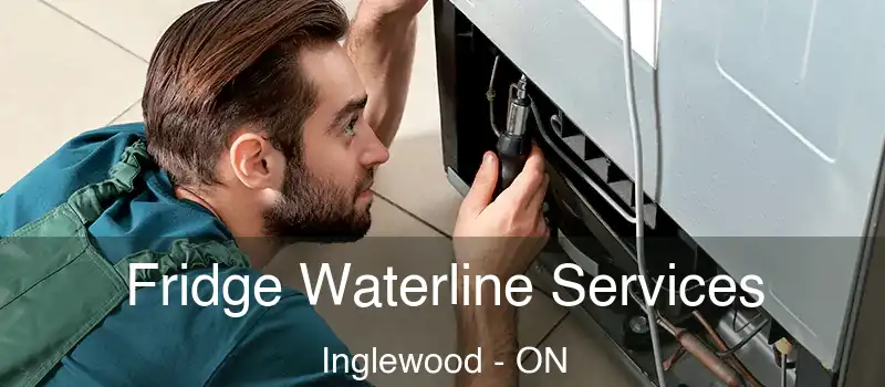 Fridge Waterline Services Inglewood - ON