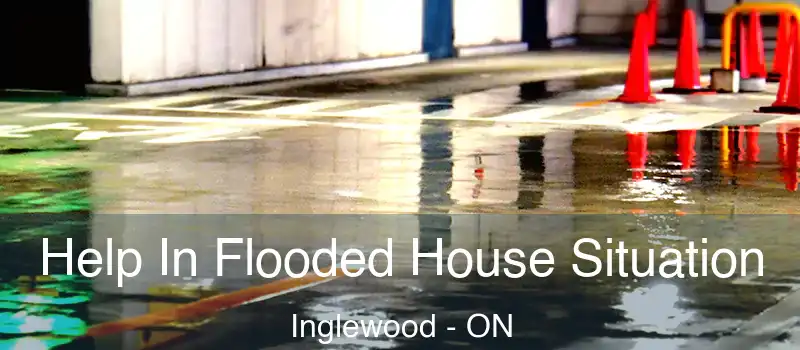  Help In Flooded House Situation Inglewood - ON