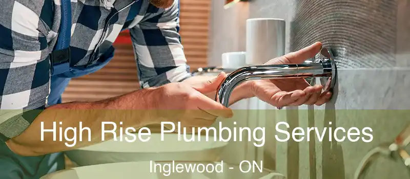  High Rise Plumbing Services Inglewood - ON