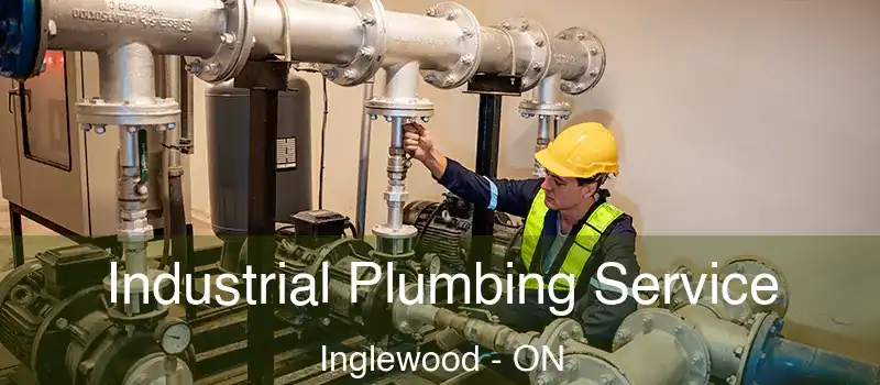  Industrial Plumbing Service Inglewood - ON
