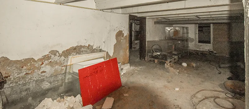 Home Basement Renovation in Inglewood, Ontario