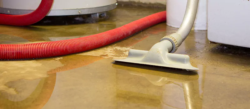 Professional Sewer Backup Cleanup Services in Inglewood, ON