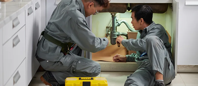Commercial Bonded and Insured Plumber Services in Inglewood, Ontario