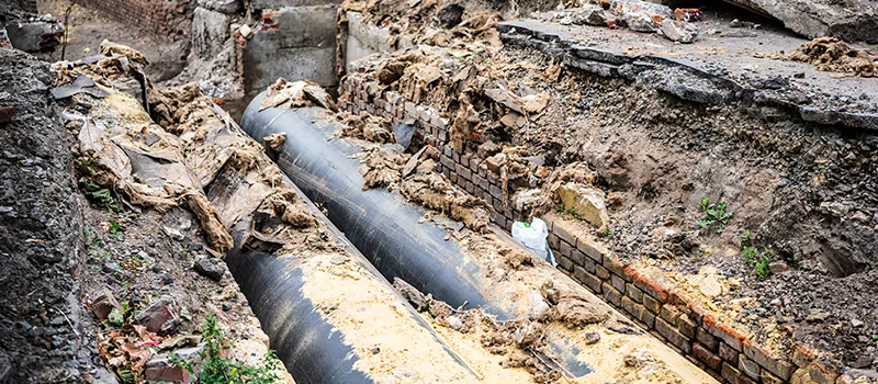Commercial Sewer Tree Roots Damage Solutions in Inglewood, ON