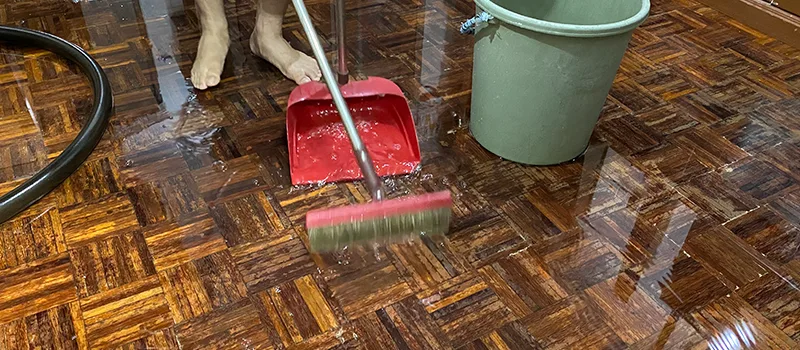 Water Removal And Restoration Services in Inglewood, ON