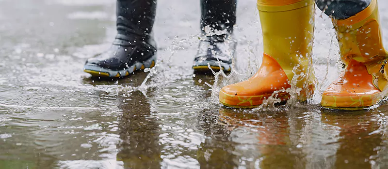 Emergency Flood Recovery Plumbing Services in Inglewood, ON