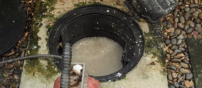 Hydro Jetting For Root Removal in Inglewood, Ontario