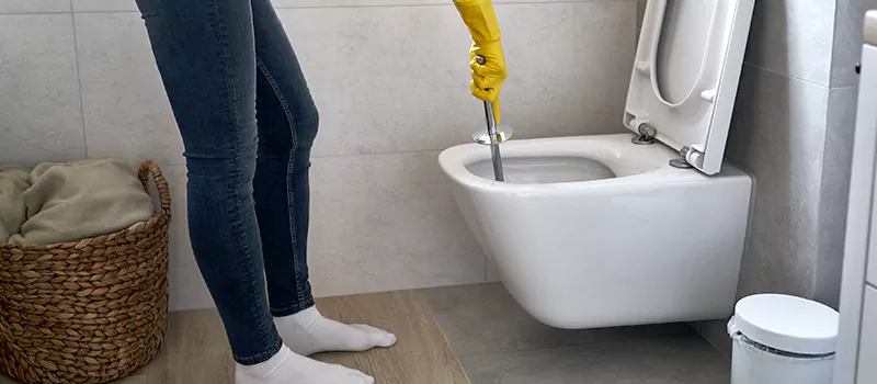 Toilet Flush Valve Installation Services in Inglewood, ON