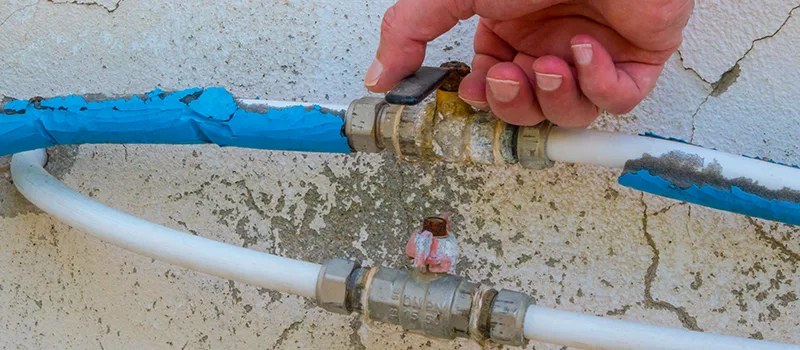 Ceiling Water Damage Repair in Inglewood, Ontario