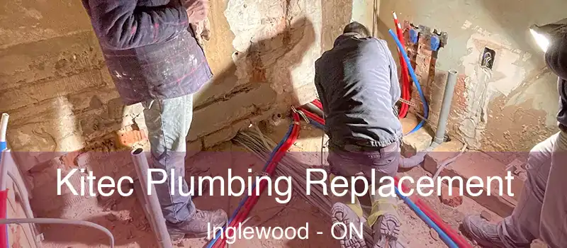  Kitec Plumbing Replacement Inglewood - ON