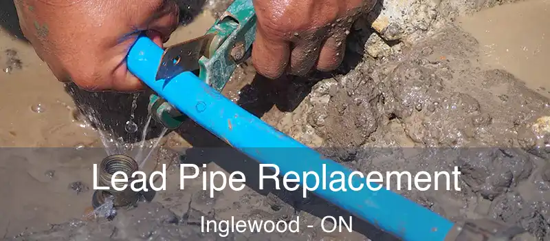  Lead Pipe Replacement Inglewood - ON