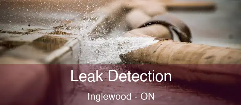  Leak Detection Inglewood - ON