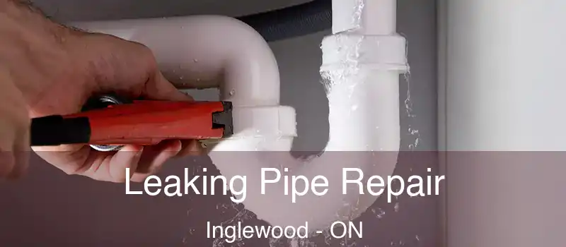  Leaking Pipe Repair Inglewood - ON