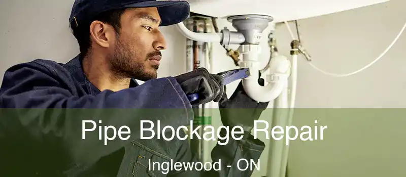  Pipe Blockage Repair Inglewood - ON