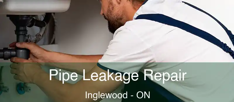  Pipe Leakage Repair Inglewood - ON