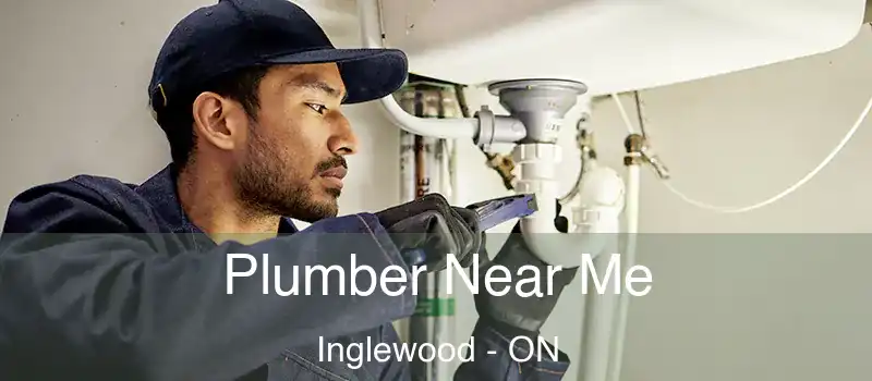  Plumber Near Me Inglewood - ON