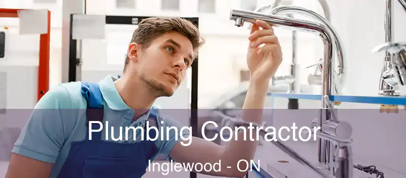 Plumbing Contractor Inglewood - ON