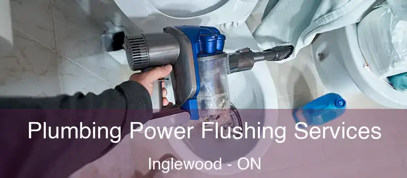  Plumbing Power Flushing Services Inglewood - ON