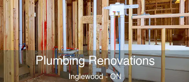  Plumbing Renovations Inglewood - ON