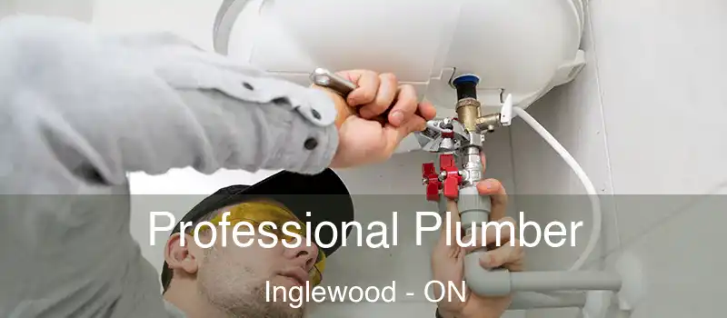  Professional Plumber Inglewood - ON
