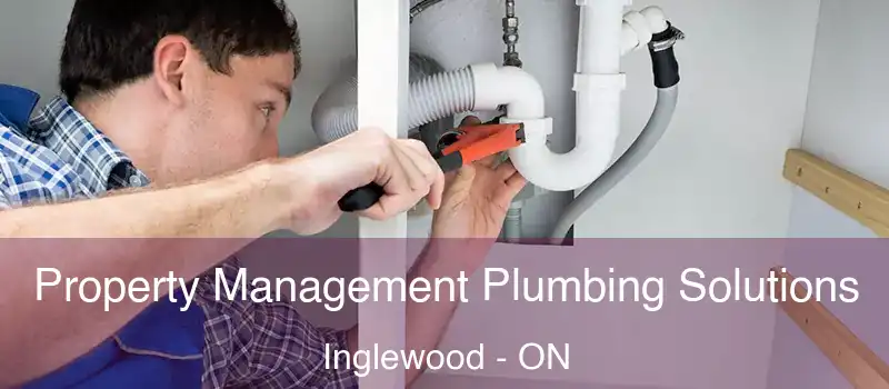  Property Management Plumbing Solutions Inglewood - ON