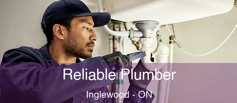  Reliable Plumber Inglewood - ON