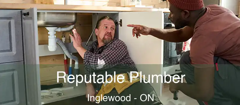  Reputable Plumber Inglewood - ON