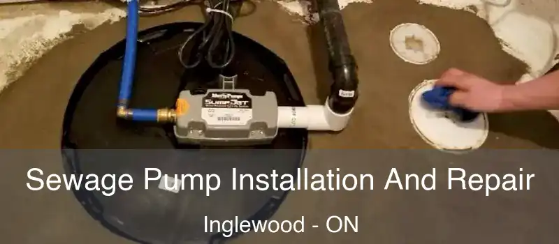  Sewage Pump Installation And Repair Inglewood - ON