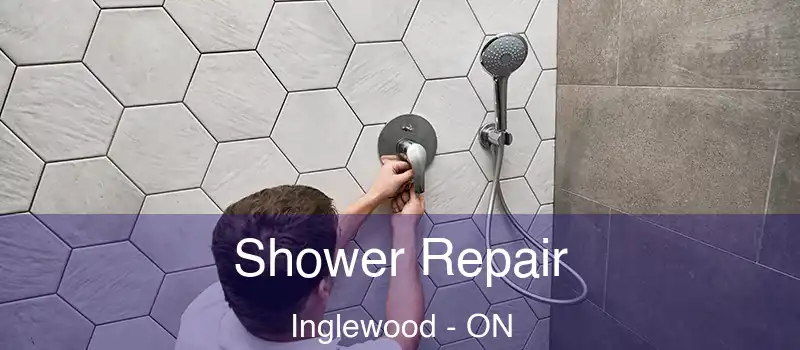  Shower Repair Inglewood - ON