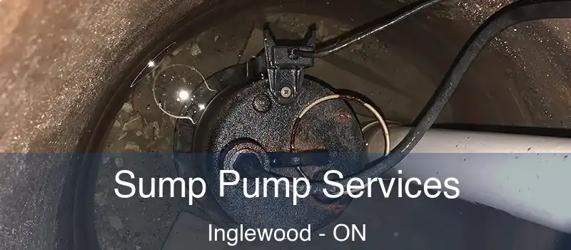  Sump Pump Services Inglewood - ON