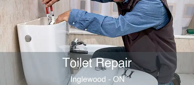  Toilet Repair Inglewood - ON