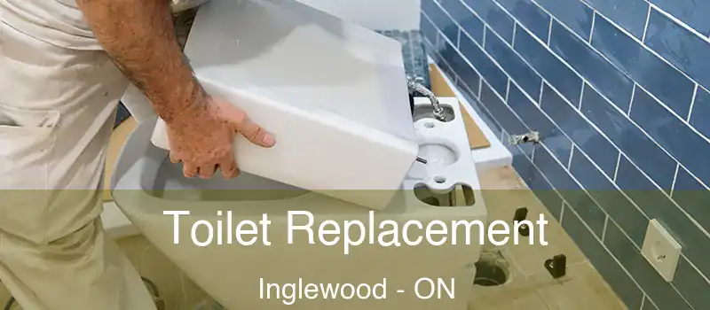 Toilet Replacement Inglewood - ON