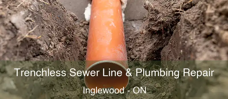  Trenchless Sewer Line & Plumbing Repair Inglewood - ON