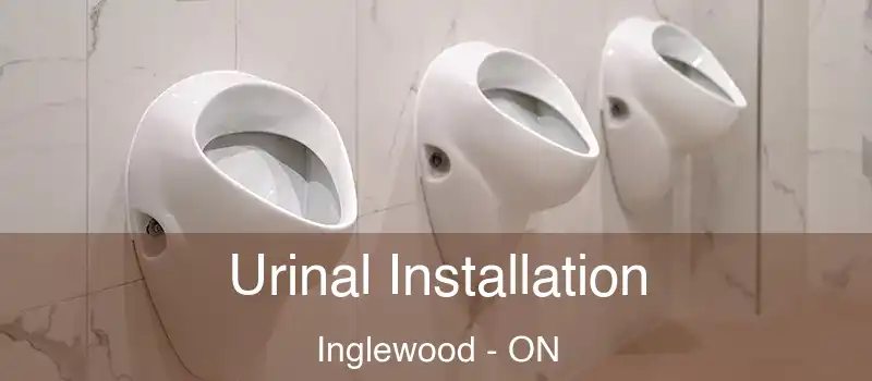  Urinal Installation Inglewood - ON