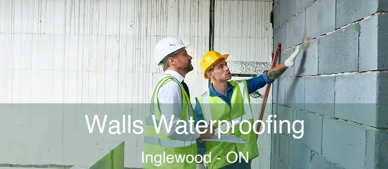  Walls Waterproofing Inglewood - ON