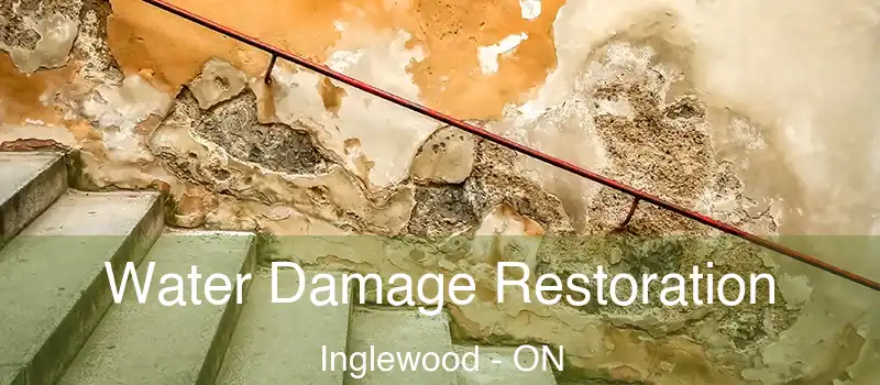  Water Damage Restoration Inglewood - ON